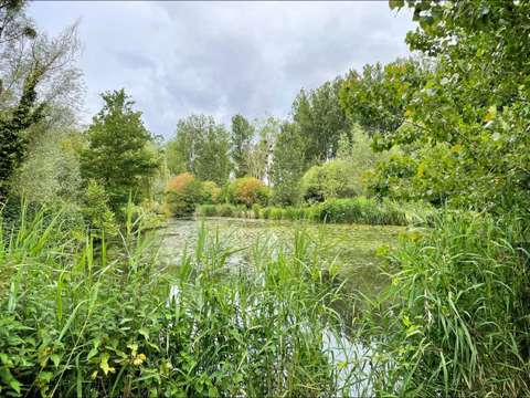 Divers ventes Dol-de-Bretagne 35