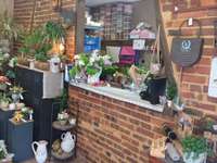 Divers ventes Divers ventes