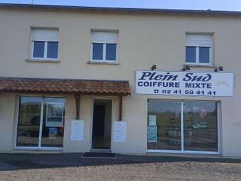 Divers ventes Doue-la-Fontaine 49