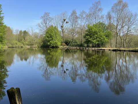 Divers ventes Ernée 53