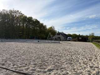 Divers ventes 5 pièces