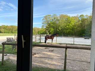 Divers ventes 5 pièces