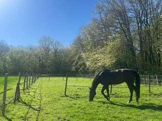 Divers ventes 5 pièces