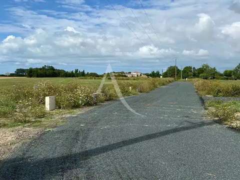 Divers ventes Grues 85