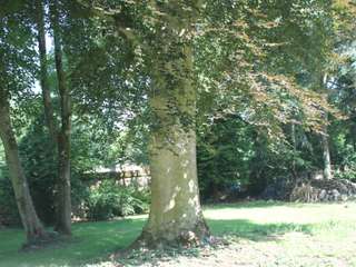 Divers ventes 26 pièces