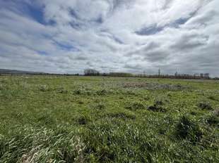 Photo Divers ventes Hotot-en-Auge