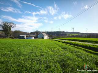 Divers ventes 7 pièces