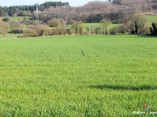 Divers ventes 7 pièces