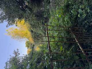 Divers ventes 3 pièces