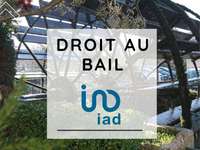 Divers ventes L'Isle-sur-la-Sorgue - 84