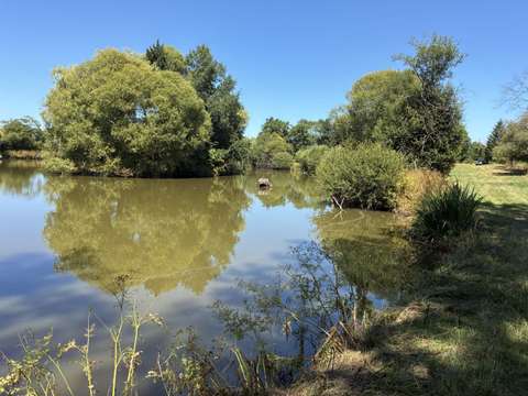 Divers ventes La Bazouge-des-Alleux 53