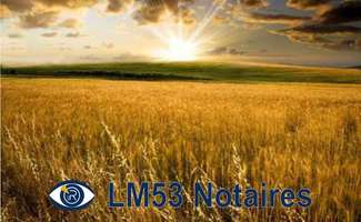 Photo Divers ventes La Bazouge-des-Alleux