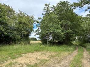 Vente DiversLa Chapelle-Rainsouin