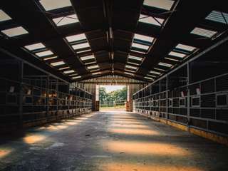 Divers ventes 14 pièces