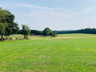 Divers ventes 14 pièces