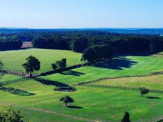 Divers ventes 14 pièces