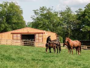 Vente Divers 8 chambresLa Ferté-Macé