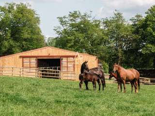 Divers ventes 14 pièces