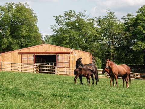 Divers ventes 14 pièces La Ferté-Macé 61