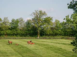 Divers ventes 14 pièces