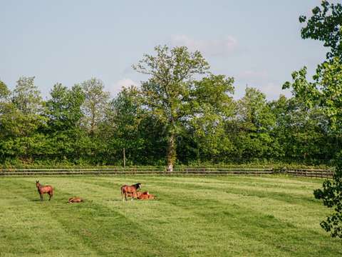 Divers ventes 14 pièces
