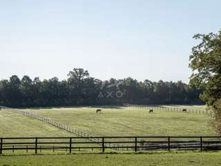 Divers ventes 14 pièces