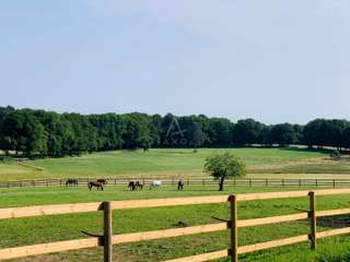 Divers ventes 14 pièces