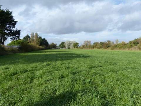 Divers ventes La Haye 50