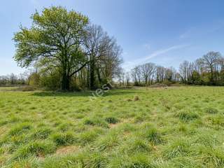 Divers ventes 1 pièce