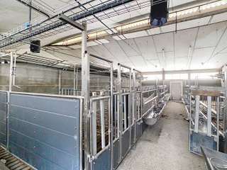 Divers ventes 1 pièce