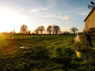 Divers ventes 5 pièces