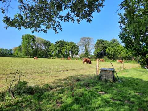 Divers ventes 10 pièces