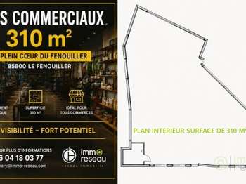 Vente DiversLe Fenouiller
