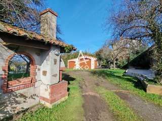 Divers ventes 8 pièces