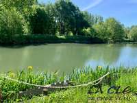 Divers ventes 4 pièces