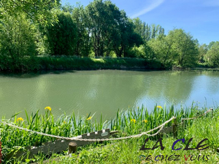 Divers ventes 4 pièces