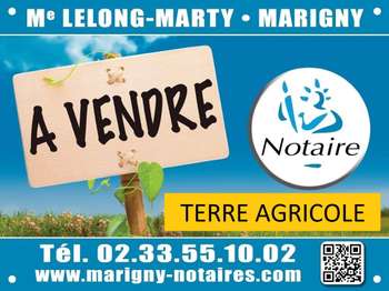 Photo Divers ventes Le Mesnil-Eury