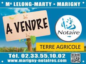 Vente DiversLe Mesnil-Eury
