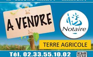 Photo Divers ventes Le Mesnil-Eury