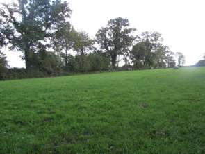 Vente DiversLe Mesnil-Garnier