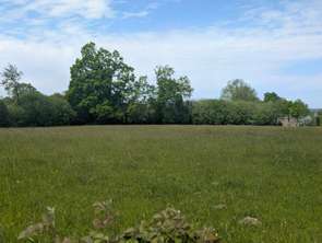 Vente DiversLe Mesnil-Garnier