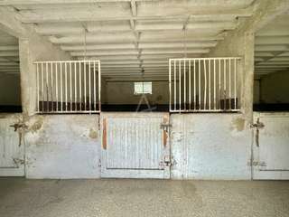 Divers ventes 6 pièces