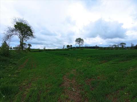 Divers ventes Le Theil-Bocage 14