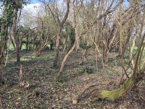 Divers ventes Legé 44