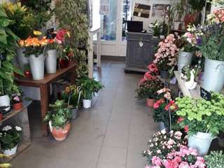 Divers ventes 2 pièces