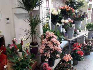 Divers ventes 2 pièces