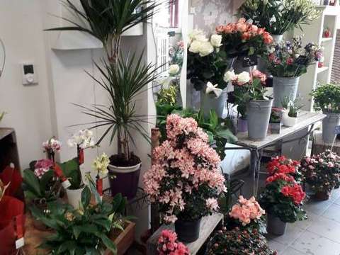 Divers ventes 2 pièces