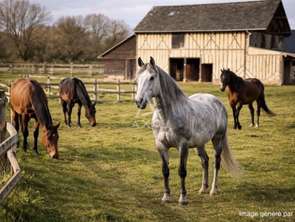 Vente Divers 3 chambresLisieux Lisieux Nord-Est