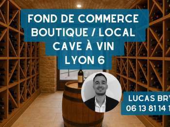 Divers ventes Lyon 6e 69