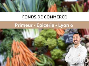 Divers ventes Lyon 6e 69